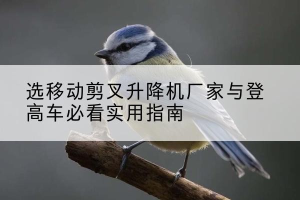 浑南电动升降机厂家-选移动剪叉升降机厂家与登高车必看实用指南