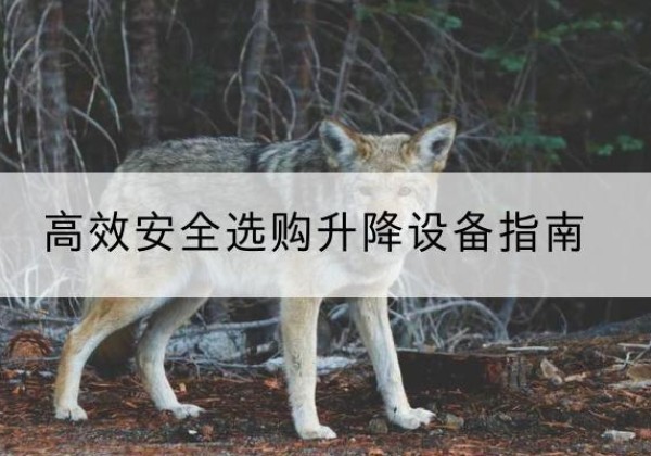 浑南升降货梯厂家推荐-*安全选购升降设备指南